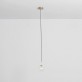 IQ8017 DRIES GLOBES