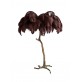 KA1833 GOLDEN PALM
