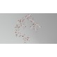 AM1330 BLOSSOM