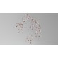 AM1330 BLOSSOM