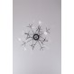 AM1705 HERACLEUM