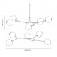DV5611 Branching Bubbles