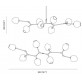 DV5611 Branching Bubbles