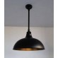 QZ0705 CARSON GOOSENECK PENDANT