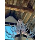 KA1800 Lucite Antlers