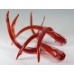KA1800 Lucite Antlers