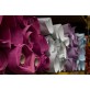 LEATHER MATERIAL