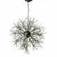 AM1600 DANDELION  