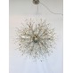 AM1600 DANDELION  
