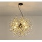 AM1600 DANDELION  