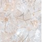WM2101 Orion Chandelier