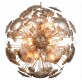 WM2135 Constellation