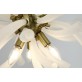 AM89049 EMMY CHANDELIER