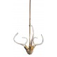 IQ8137 ANTLER'S HORN