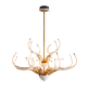 IQ8137 ANTLER'S HORN