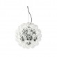 JK049 Taraxacum 88