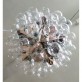 JK049 Taraxacum 88