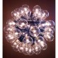 JK049 Taraxacum 88