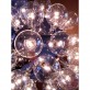 JK049 Taraxacum 88