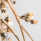 MV3022 BLOOM V