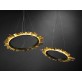 DR1115L PROMETHEUS RING