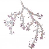 AM1330 BLOSSOM