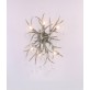 AM2111 DEER TEAR