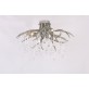 AM2111 DEER TEAR