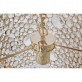 AM8162  ETERNITY CROWN