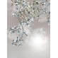 AM8850 EDEN CROWN LINEAR BRANCH