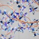 AM8850 EDEN CROWN LINEAR BRANCH