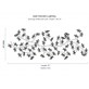 AM8850 EDEN CROWN LINEAR BRANCH