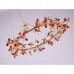 AM8851 EDEN CROWN CIRCULAR BRANCH