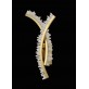 AM99126W NELLY WALL SCONCES