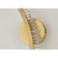 AM99126W NELLY WALL SCONCES