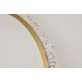 AM99126W NELLY WALL SCONCES