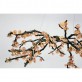 DV3953 Almond