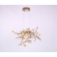DV3953 Almond