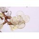 DV3953 Almond