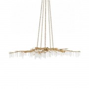 DV5089 Forest Light