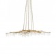 DV5089 Forest Light