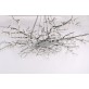 DV5089 Forest Light