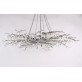 DV5089 Forest Light