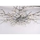 DV5089 Forest Light