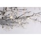 DV5089 Forest Light