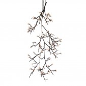 DV5620 Ascending Bloom Vivant 