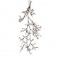 DV5620 Ascending Bloom Vivant 