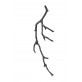 QZ315 AQUA BRANCH SCONCES