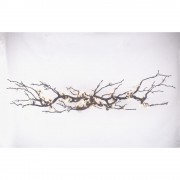 OR0761 BRANDOLINI II 