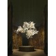 QZ2718 GINGKO FLOWERS 